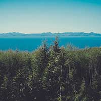 无限拨打短信软件