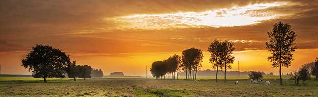 助企业更上进的免费轰炸网页版